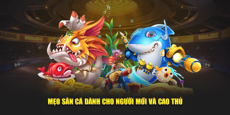 meo-san-ca-danh-cho-nguoi-moi-va-cao-thu